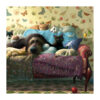 Dog & Cats on Sofa Single Card