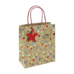 Kraft gift bag decorated with colourful stars. The bag has red handles and a red star gift tag. The bag also has a tag attached with the text '100% recyclable'.