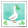 Christmas card with an image of a goose with holly in its beak standing in a snow falling scene