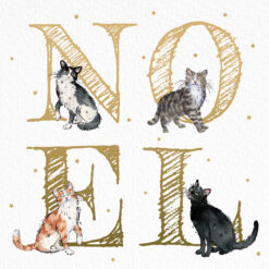 Christmas card with an image of four cats amongst the letters NOEL