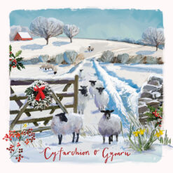 Christmas card with an image of sheep in a snowy field by a gate with a wreath on in Wales