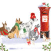 Christmas card with an image of many different dogs next to a red postbox