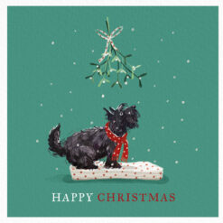 Christmas card with a green background and a black scotty dog looking up at some mistletoe