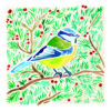 Christmas card with an image of a blue tit perched in a berry bush