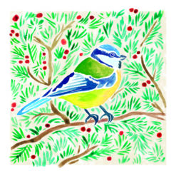 Christmas card with an image of a blue tit perched in a berry bush