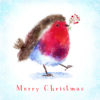 Christmas card with an image of a fluffy robin with a berry twig in its beak