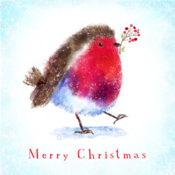 Christmas card with an image of a fluffy robin with a berry twig in its beak