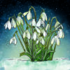 Christmas card with an image of snowdrops with snowfall behind