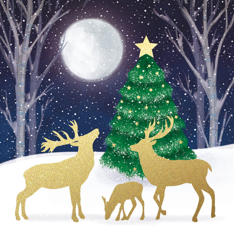 Charity gifts christmas animals