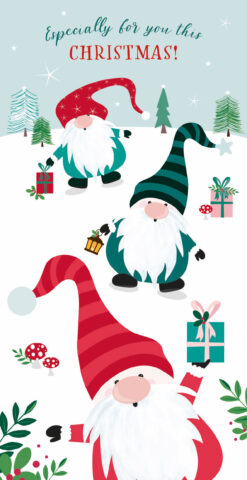 Festive money wallet with gonks in striped hats holding gifts, set against a snowy background with trees, mushrooms, and holly. Especially for you this Christmas! is written above.