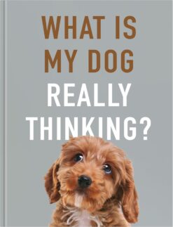 A grey book with a picture of a brown Cavapoo on the front. Text on the front reads 'What Is My Dog Really Thinking?'
