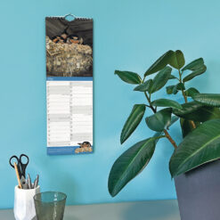 Slimline 2026 calendar with images by Pollyanna Pickering. This image shows the calendar in situ on a wall.