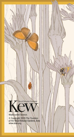 Back cover of this Royal Botanic Gardens Kew slim 2026 Calendar including illustrations of a butterfly, ladybug, and bee among stylized flowers and stems.