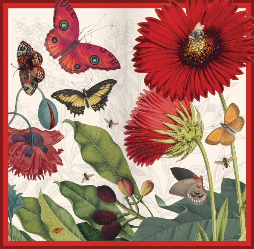 Charity Cards and Gifts
