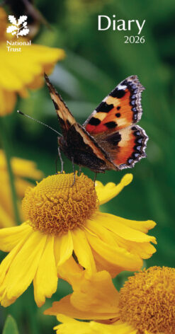 Front cover of this 2026 National Trust Diary showing a butterfly with orange, black, and white wings resting on a bright yellow flower.