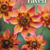 This is the cover of this “Grow, Cook, Eat Diary 2026” by Sarah Raven, featuring a close-up photograph of vivid orange and red flowers showing layered petals and central stamens.