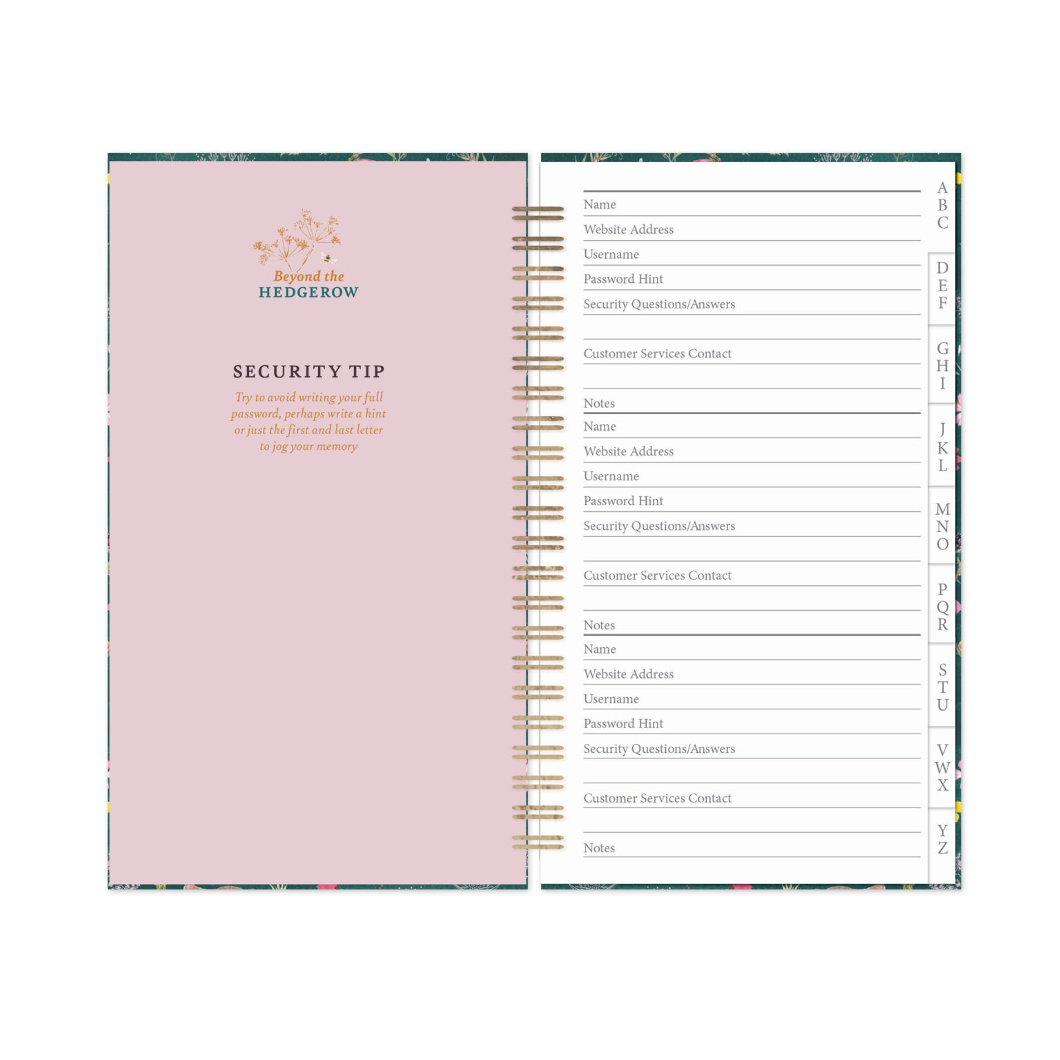 Inside example page of this password book featuring space to write all details.