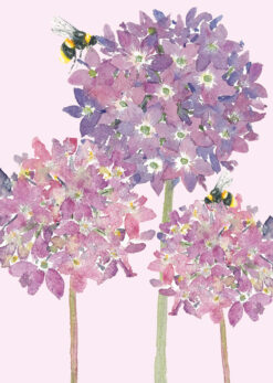 Front cover of this notecard product featuring a watercolour picture of three clusters of purple and pink Alliums, set against a pale pink background with two bees hovering nearby.