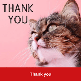 Send charity Thank you eCards