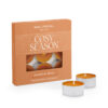 Cosy Season Pumpkin Spice scented tea lights.