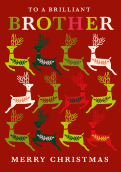 Christmas card for a brother featuring twelve colourful reindeer with decorative antlers arranged in a grid on a red background, with bold multicoloured text reading 'To a Brilliant Brother' and 'Merry Christmas'.
