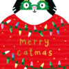 Christmas card featuring a black and white cat wearing a red jumper decorated with colourful Christmas lights and the words 'merry catmas'. The cat also wears green Christmas tree-shaped glasses with yellow stars, adding a humorous holiday touch.