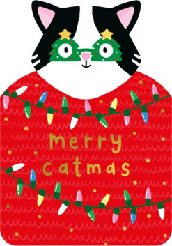 Christmas card featuring a black and white cat wearing a red jumper decorated with colourful Christmas lights and the words 'merry catmas'. The cat also wears green Christmas tree-shaped glasses with yellow stars, adding a humorous holiday touch.