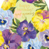 Arch shaped card with illustrations of colourful pansies in yellow and purple. Gold text in the centre reads 'happy birthday! gorgeous'.