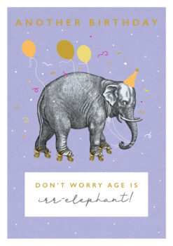 Age Is Irrelephant! Birthday Single Card