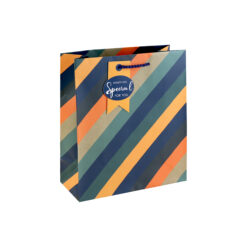 A medium gift bag with bold diagonal stripes in orange, navy, green, and kraft tones, finished with a matching tag that reads “Something Special for You.”