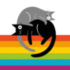 Stylised illustration of two intertwined cats, one black and one grey, forming a yin‑yang shape above a rainbow stripe background