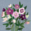 Illustration of a bouquet of hellebore flowers in shades of pink, purple, and cream with lush green leaves, set against a textured grey background with falling snow