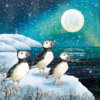 Illustration of three puffins with colourful beaks perched on icy rocks by the sea, illuminated by a glowing full moon and surrounded by falling snowflakes under a deep blue sky.