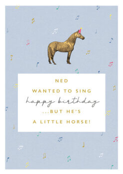 A pale blue card with a pattern of colourful musical notes. There is an illustration of a horse wearing a party hat. In a white box below the horse, text reads ''Ned wanted to sing happy birthday...but he's a little horse!'.