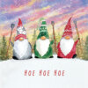 Festive illustration of three Christmas gnomes in red, green, and grey outfits holding garden hoes in the snow with the words ‘Hoe Hoe Hoe’ written below.