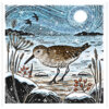 A brown shorebird stands on a snowy shoreline beneath a bright moon, surrounded by winter plants and distant hills, with swirling blue sky patterns suggesting a cold coastal breeze.