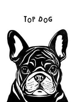 A white greeting card with an illustration of a french bulldog in black. Text above the image reads 'Top Dog'.