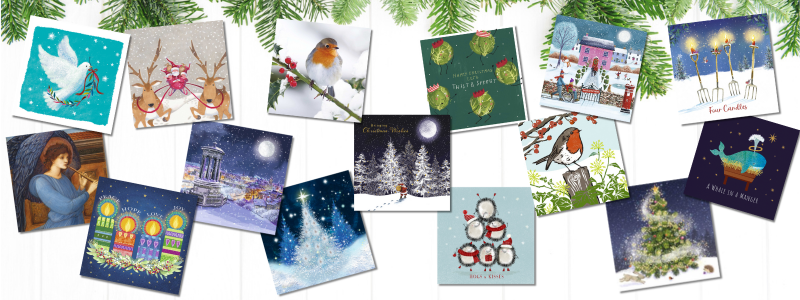 A display of charity Christmas cards surrounded with fir tree branches